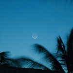 Brazílie 2005 - Astrosmajlík