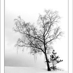 Čekání na jaro I.