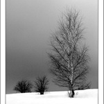 Čekání na jaro II.