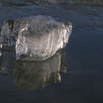 Taky maly lad ovcek :o)).