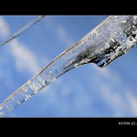 <i>..::</i>&nbsp;Ledové ostří&nbsp<i>::..</i><br>