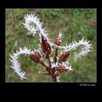 <i>..::</i>&nbsp;Ledové ostří II&nbsp<i>::..</i><br>