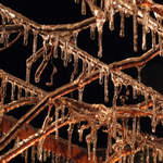 sklenené kráľovstvo