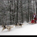 ...hop...hop...hop...