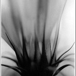 láska, dotek, Něha II.