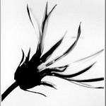 láska, Dotek, něha III.