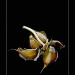 tak třeba....ehm...česnek?