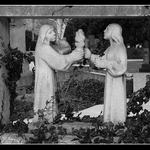 Sem ti říkal,nejez sladký,zkazíš si zuby..