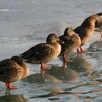 Už prestaňte s úpravami, ideme sa fotiť !