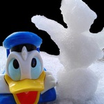 Marnost bytí, aneb dočasný kamarád