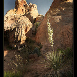 Valley of Fire II.
