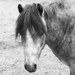 <u><b><i>stýská se mi....</i></b></u>