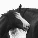 <b> Ranní hygiena:o) </b>