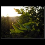 ...prebúdzanie...<br>