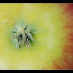 niečo takéto môže za naše celoživotné trápenie...