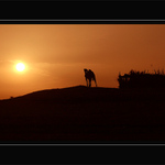 <B>EGYPT - ZÁPAD SLUNCE NA NILU & DROMEDÁR<hR>