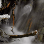 <b>Potůček bublavý</b>