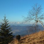 Na Kojšovej Holi