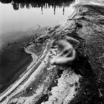 ...postrácené kopretiny