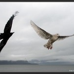 Letame za kazdeho pocasi.