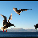 Stinove divadlo2:ULET O ZIVOT.