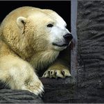 <b>KDE JE TEN KLUK?</b><br><b>