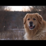 Workshop se nekonal ...