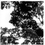 ...duben/april...<br>