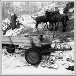 Než sa to všetko odprace ešte sa narobíme