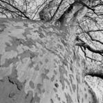 ..sme uplne male nic..