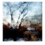 ... jen chvíli III/ páv