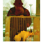 Sherlock Holmes <br> a záhada ztracené kočičí pacičky