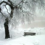 Mlha a jinovatka na Kozákově