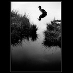 ..Šumavské pohlednice .. Chalupská slať