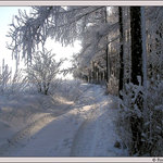 *** zachumelená #2 ***