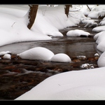 Lesní potok v bílé