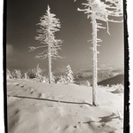 Nad Červenohorským sedlem