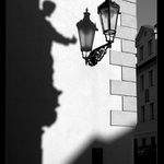 <b>...světlonoš...</b>