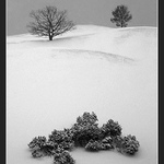 Podvečerní procházka parkem