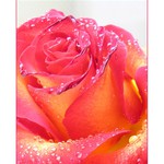 Královna z říše flóry