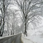 Nepatrně kolorovaná perokresba