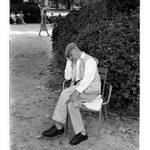 Banální fotka VIII