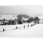 Orava II.
