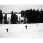 Orava III.
