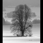 Samotář