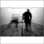 ...squash: návrat divočiny...