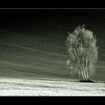 ...tři grácie - melancholické...