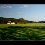 ...na samotě u lesa...