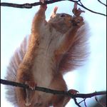 Foť! Ale do žádného časopisu to nedávej!