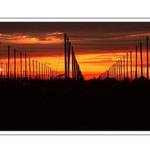 ČEKÁNÍ NA SEZÓNU